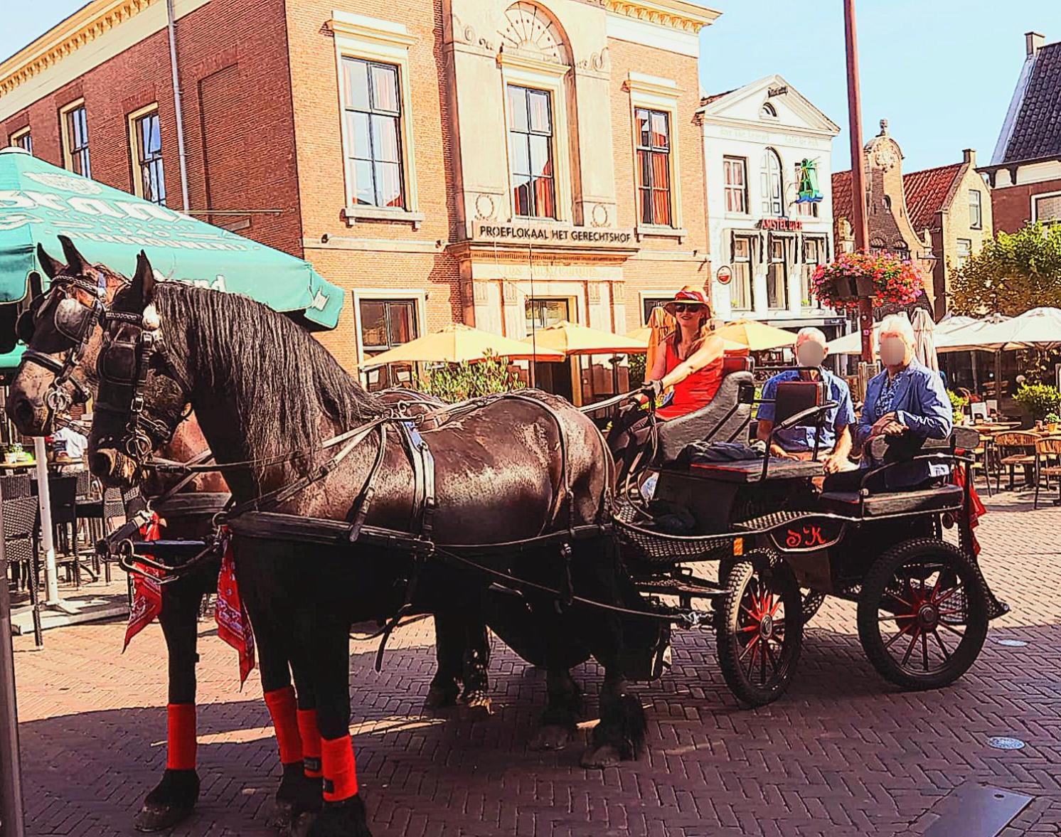 Stacaravan Op De Paardenboerderij Sneek Kültér fotó